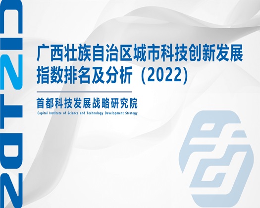 美女嫩逼操逼【成果发布】广西壮族自治区城市科技创新发展指数排名及分析（2022）